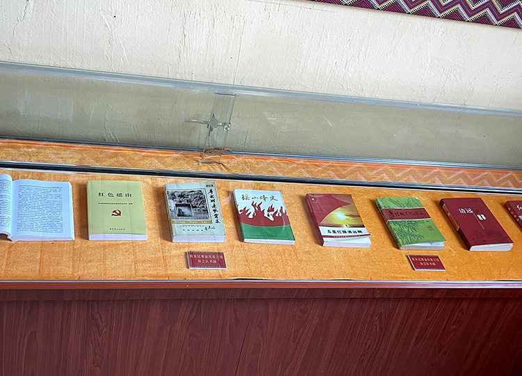 有关记录金坑反三征自卫队书籍