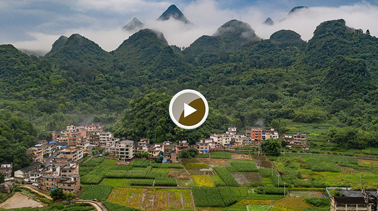 【视频】连南三江镇东和村，雨后山腰上的云-001