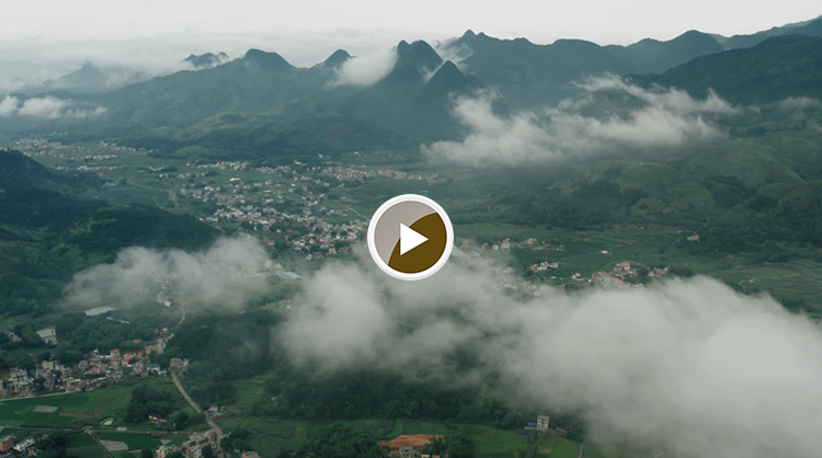 【视频】最美连南-连南寨岗镇傍晚雨后景色-001