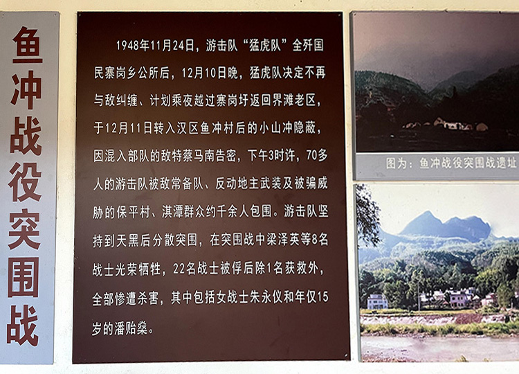 鱼冲战疫突围战介绍