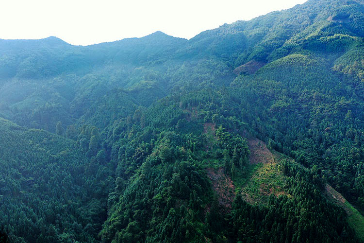 菜坑——阳山县河西游击队伏击国军战斗遗址