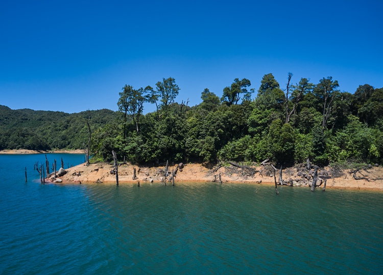 连南县寨岗镇板洞水库