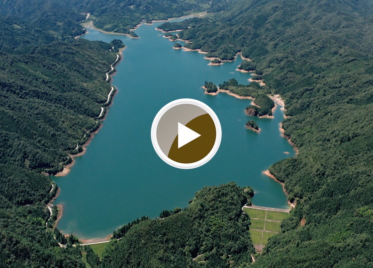 连南县寨岗镇板洞水库