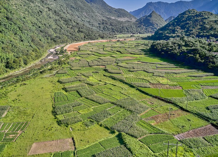 连南县大麦山镇白芒村的田野