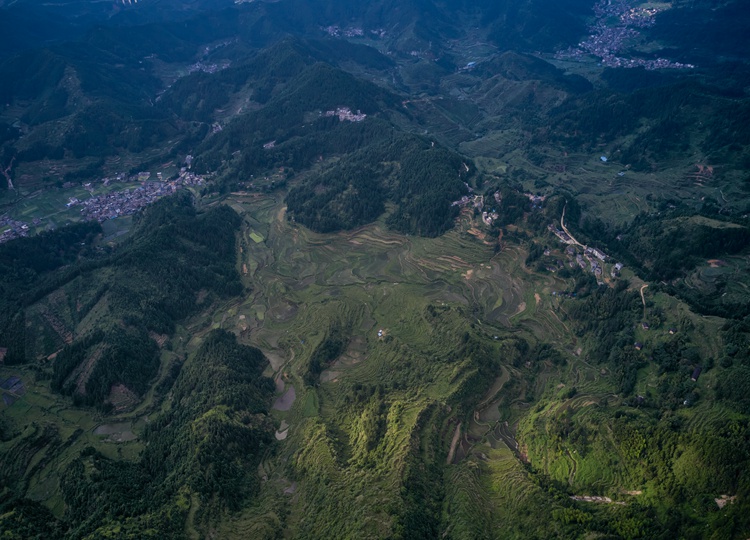 连南县大坪镇火烧排梯田