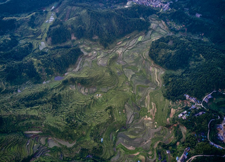 连南县大坪镇火烧排梯田