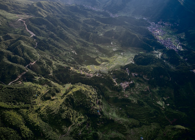 连南县大坪镇火烧排梯田