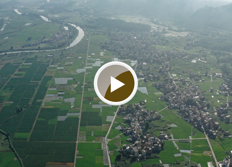 连南县三江镇的水稻田