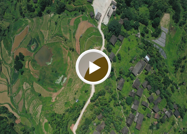 连南县大坪镇大掌古排