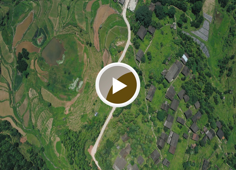 连南县大坪镇大掌古排