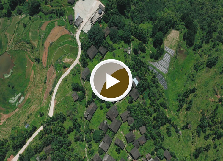 连南县大坪镇大掌古排