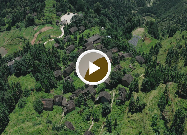 连南县大坪镇大掌古排