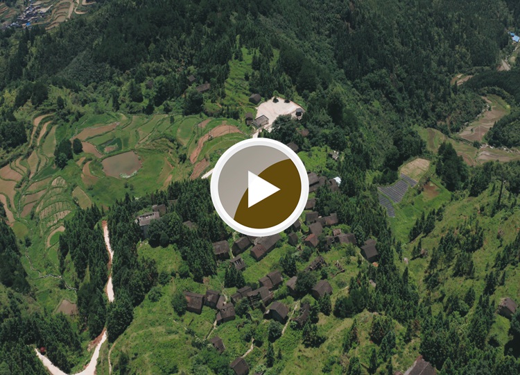 连南县大坪镇大掌古排