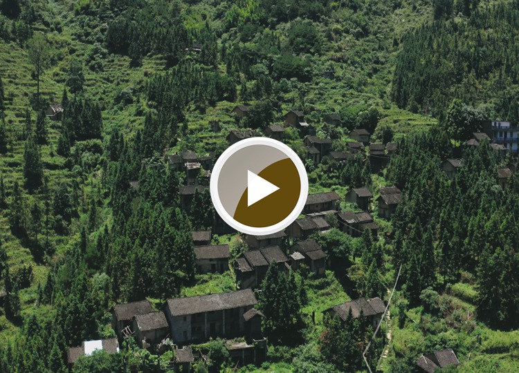 连南县大坪镇大掌古排