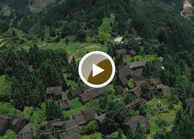 连南县大坪镇大掌古排