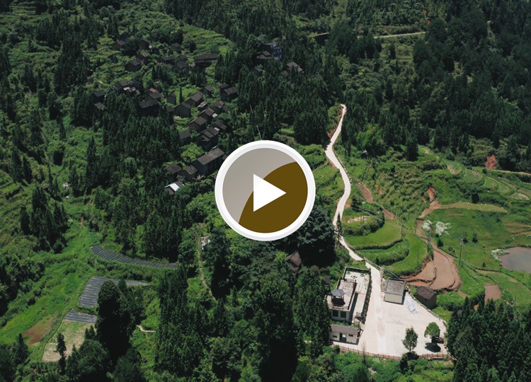 连南县大坪镇大掌古排