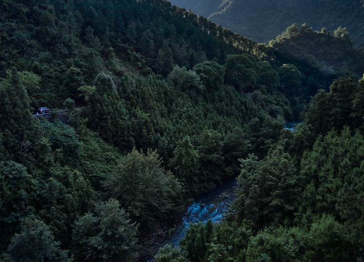 连南县三江镇金坑村，郁郁葱葱的林海
