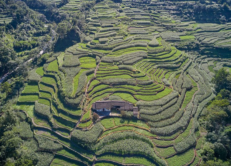 连南县大麦山镇九寨梯田