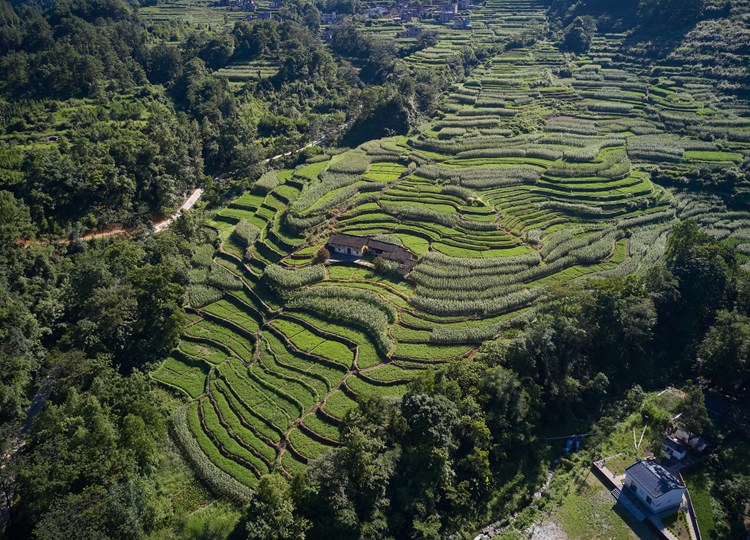 连南县大麦山镇九寨梯田