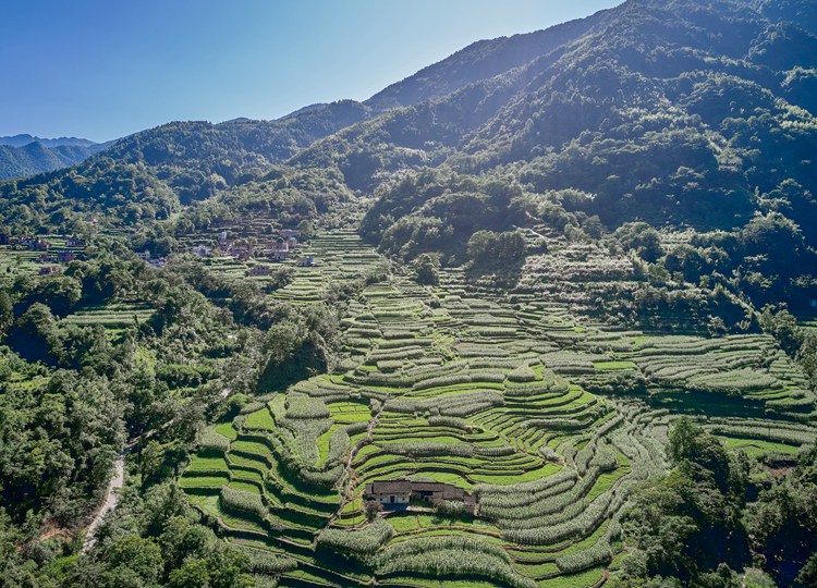 连南县大麦山镇九寨梯田