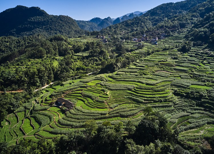 连南县大麦山镇九寨梯田