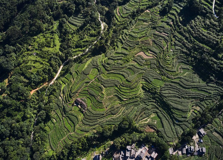 连南县大麦山镇九寨梯田