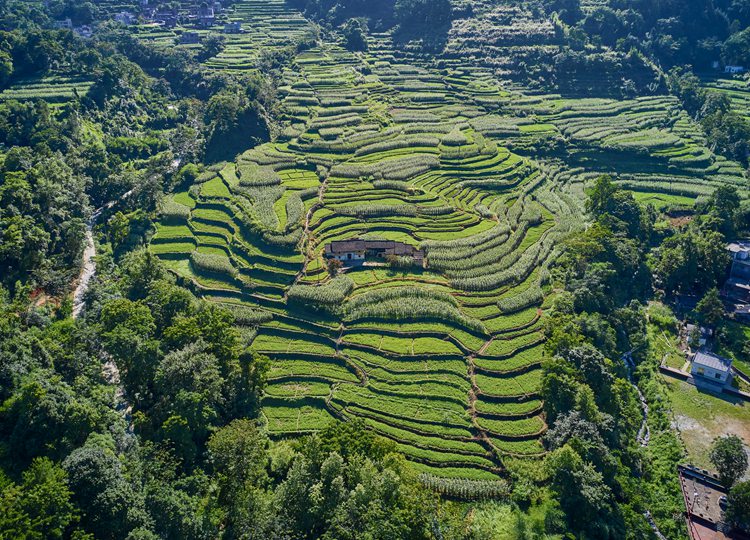 连南县大麦山镇九寨梯田