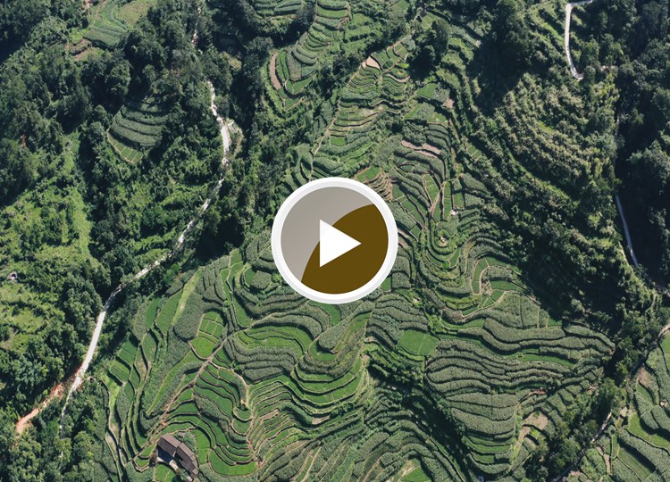 连南县大麦山镇九寨梯田