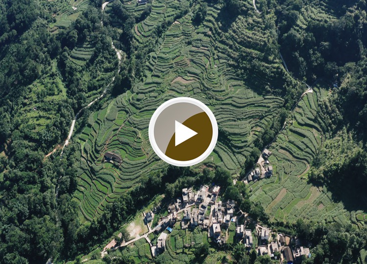 连南县大麦山镇九寨梯田