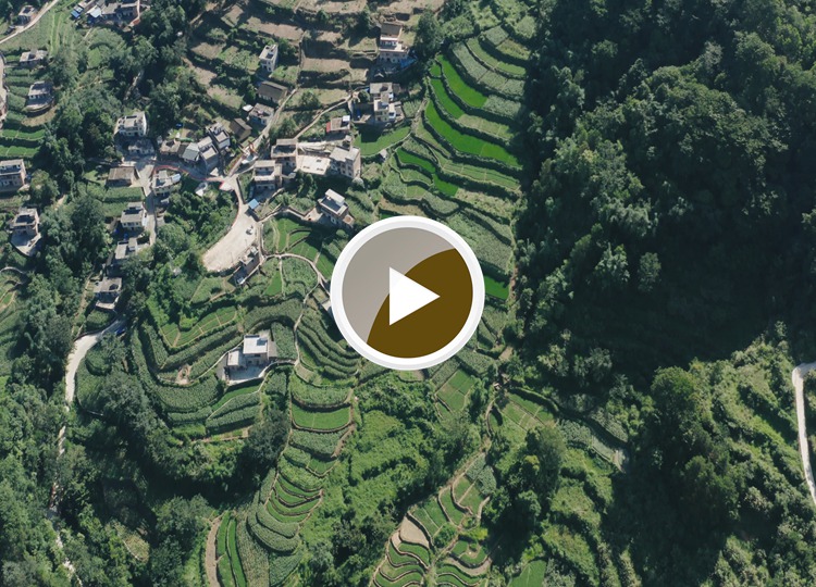 连南县大麦山镇九寨梯田