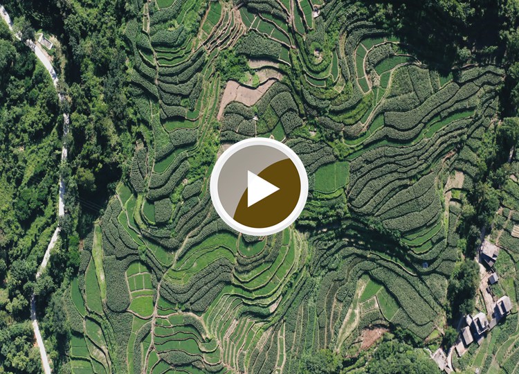 连南县大麦山镇九寨梯田