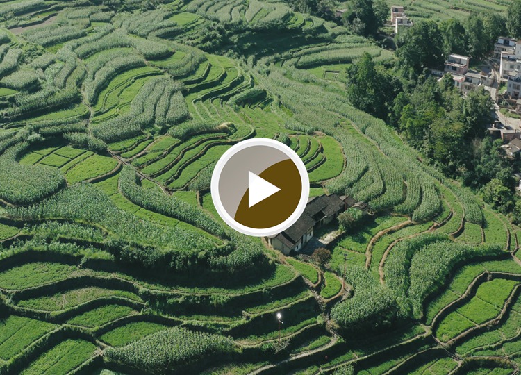 连南县大麦山镇九寨梯田