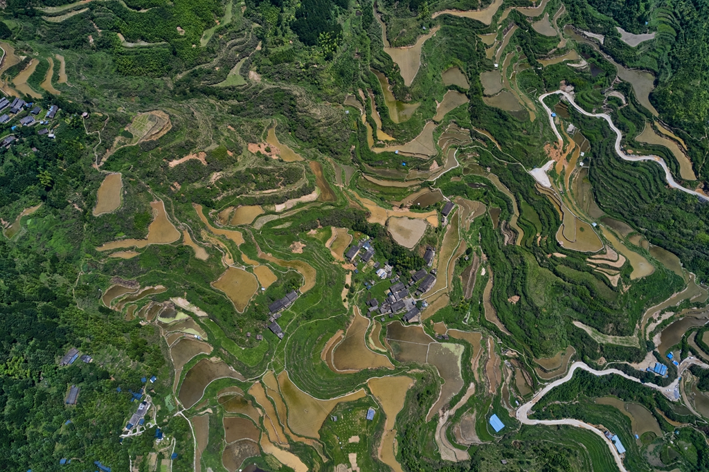 连南县大坪镇瑶排梯田国家湿地公园，大古坳村梯田。