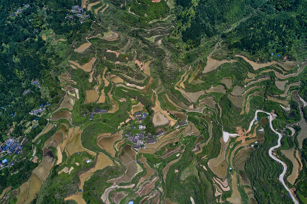 连南县大坪镇瑶排梯田国家湿地公园，大古坳村梯田。