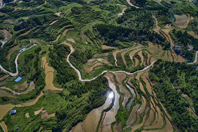 连南县大坪镇瑶排梯田国家湿地公园，大古坳村梯田。