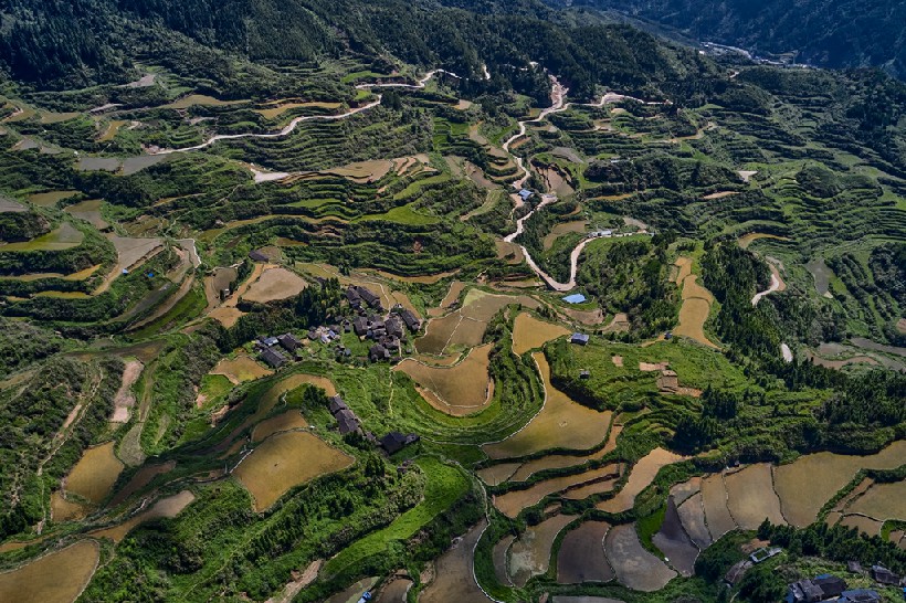 连南县大坪镇瑶排梯田国家湿地公园，大古坳村梯田。