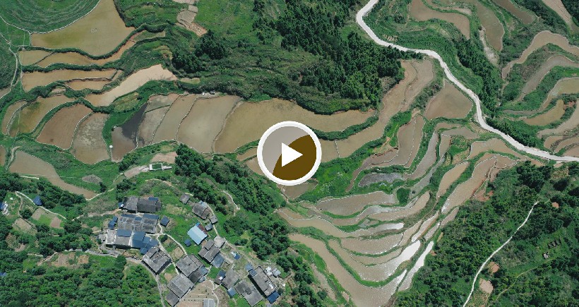 连南县大坪镇瑶排梯田国家湿地公园，大古坳村梯田。