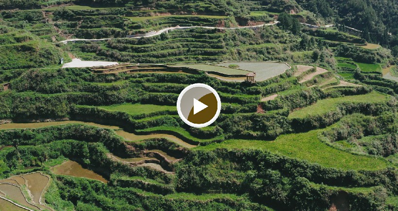 连南县大坪镇瑶排梯田国家湿地公园，大古坳村梯田。