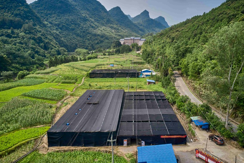 不能不来的地方：涡水镇大竹湾村菌菇基地