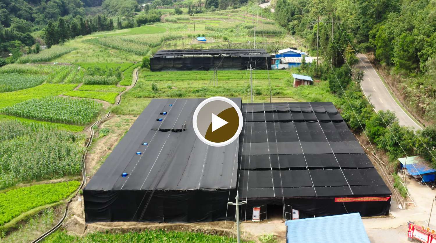 菌菇基地：涡水镇大竹湾村