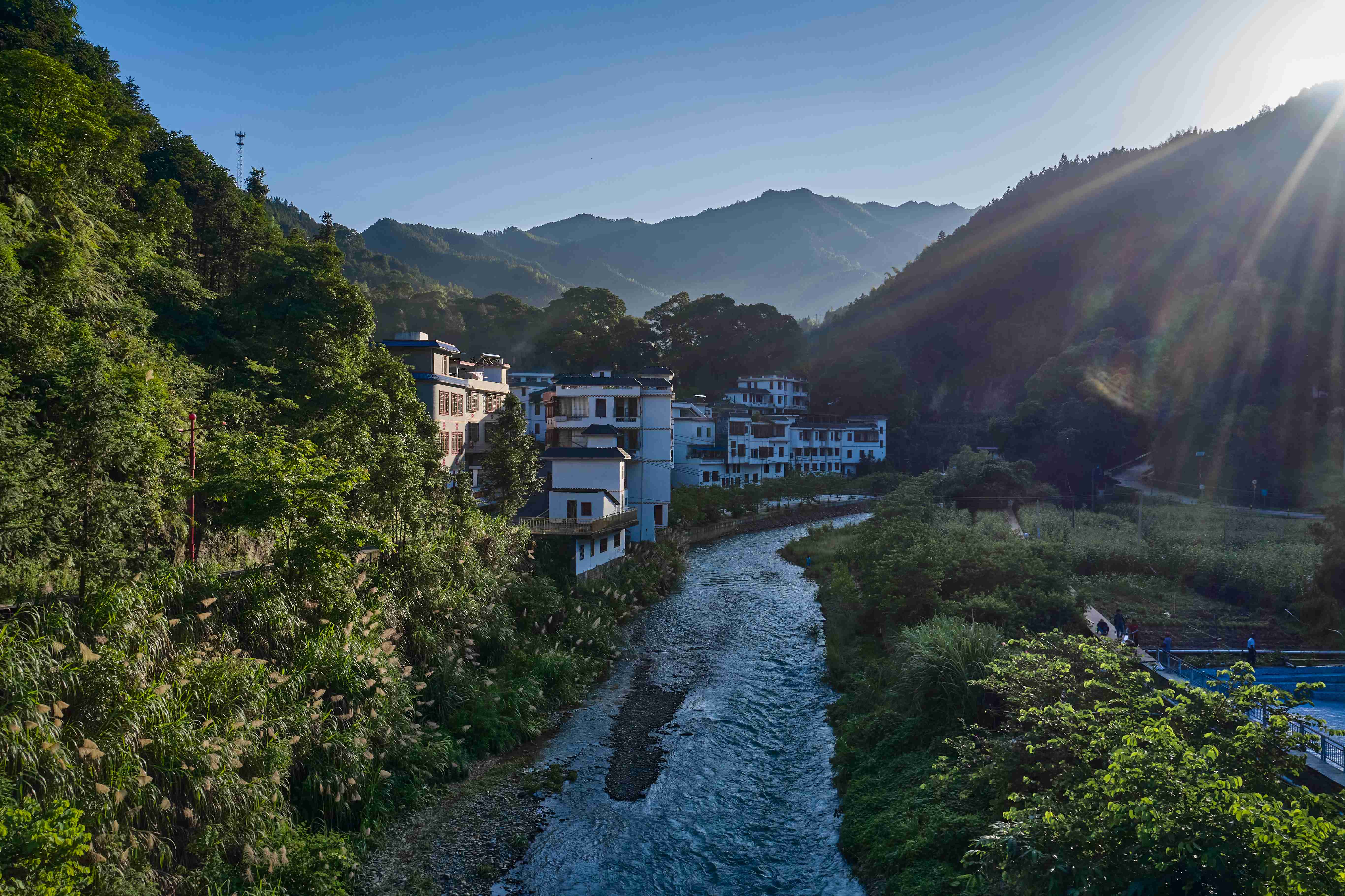 三江镇金坑村生态环境