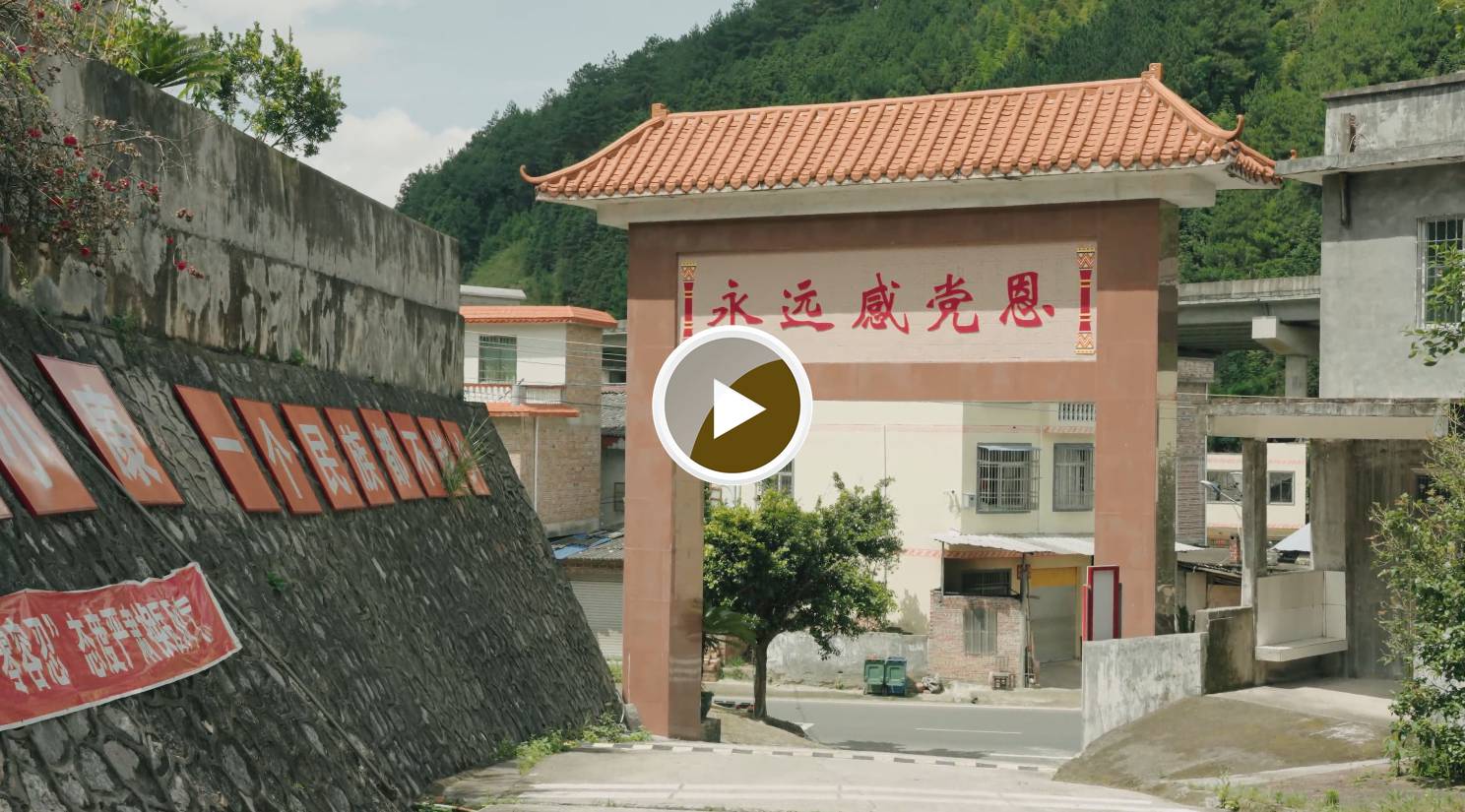 大坪镇大古坳村党建面貌