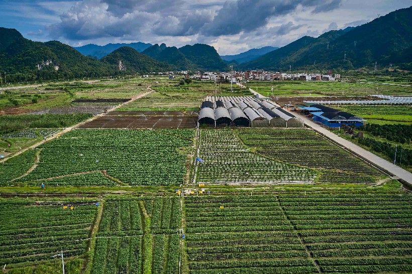 三江镇城西村蔬菜基地
