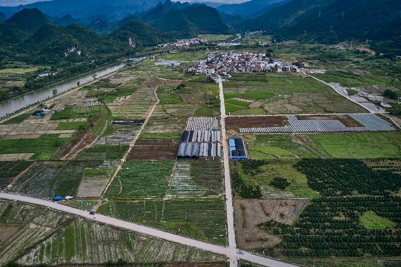三江镇城西村蔬菜基地