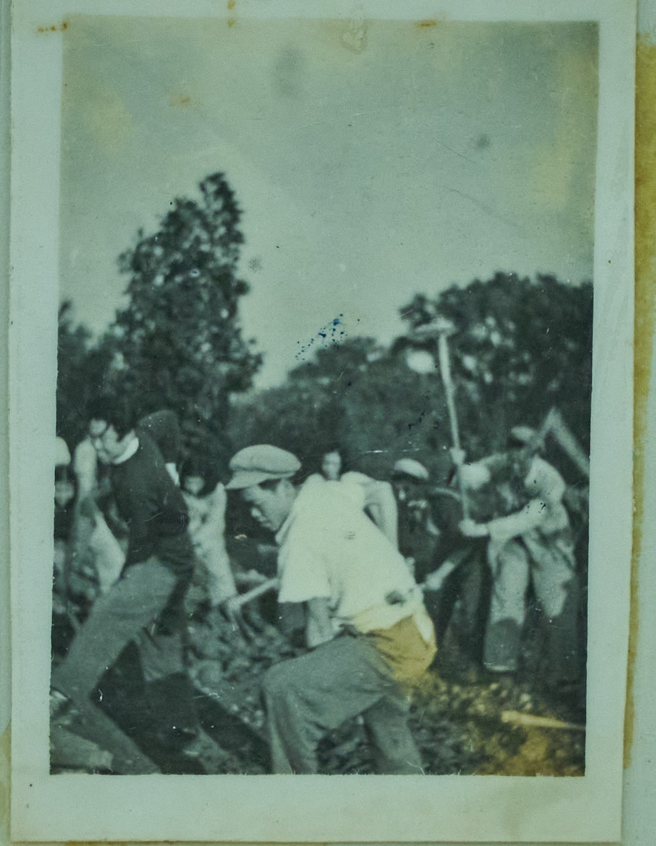 50年代,开环城马路