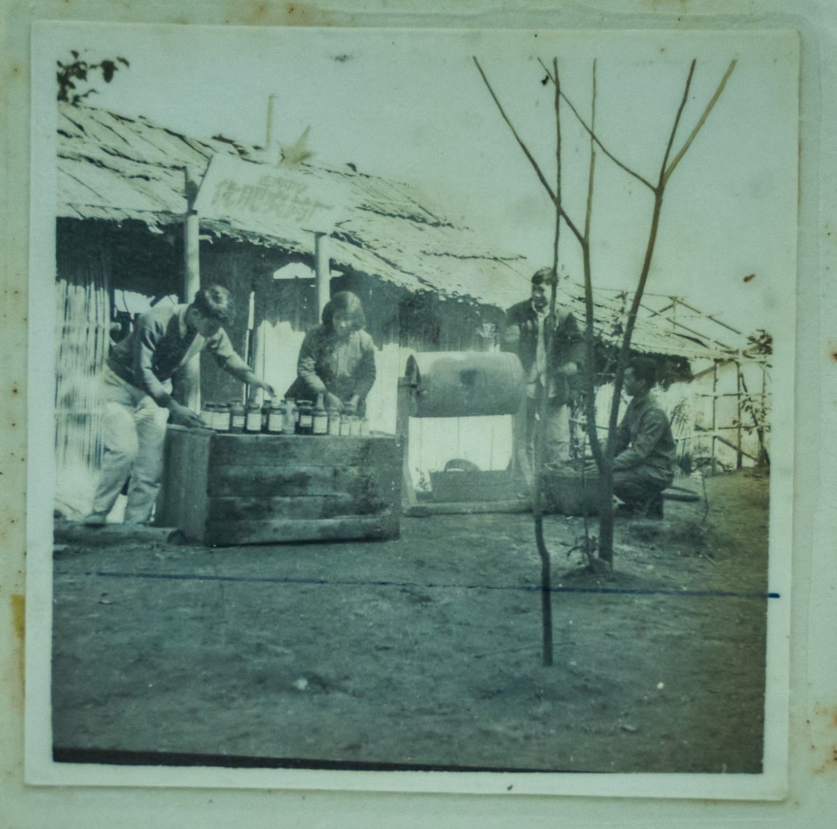 50年代，农业技术做实验