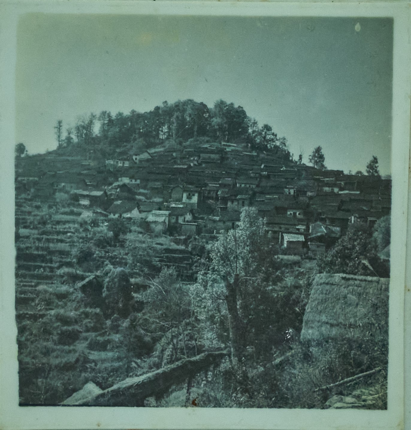 50年代、三排全景