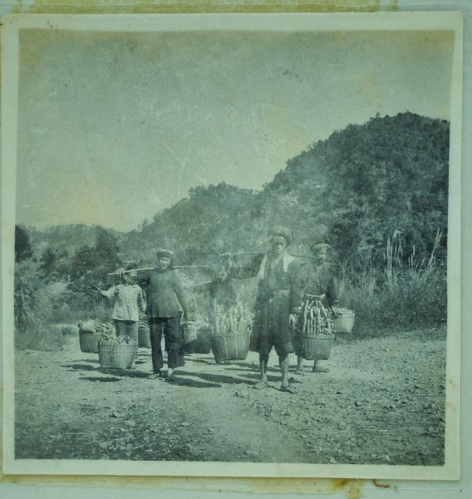 50年代，瑶胞售药材